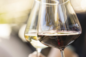 Secondo Alto Adige Wine Tasting a Lagundo