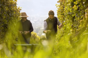 3° Alto Adige Wine Tasting – Una festa dei sensi