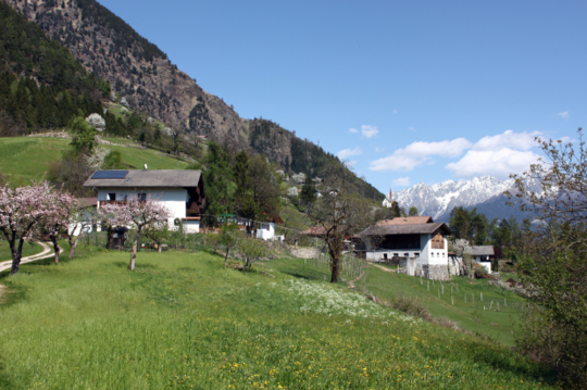 Dorfspaziergang