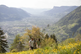 Algund Balance: Atemzüge der Natur - Wandern mit Achtsamkeit
