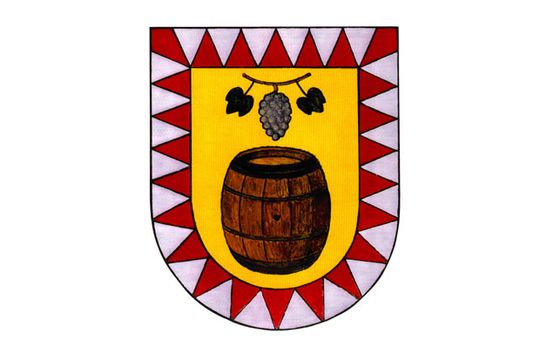 Riunione del Consiglio Comunale