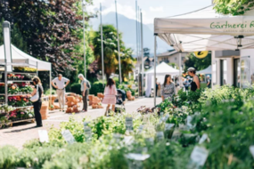 Gartenflair Algund