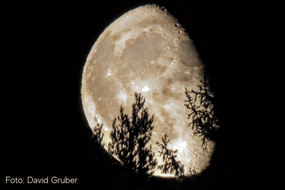 David Gruber: Cosa c'è di vero nel calendario lunare?