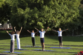 Algund Balance: Yin-Yoga und Wein